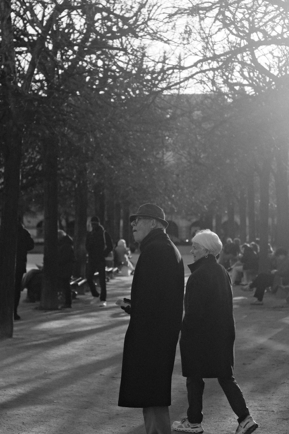 An older couple walking together in a tree-lined park
